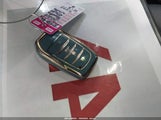 Miniaturka zdjęcia 11