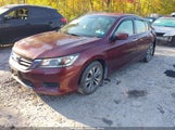 Honda Accord Lx 1HGCR2F36DA099442 снимка