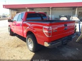 Ford F-150 Xlt 1FTFW1CF4EKE24503 снимка