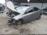 Miniaturka zdjęcia 2