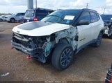 Jeep Compass Trailhawk 4X4 3C4NJDDB8KT597782 снимка