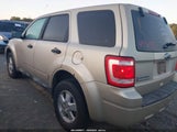 Ford Escape Xls 1FMCU9C75BKC31140 fotografie