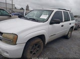 Chevrolet Trailblazer Ls 1GNDS13S422375449 снимка