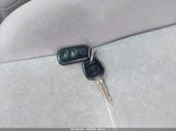 Miniaturka zdjęcia 11