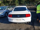Ford Mustang Ecoboost Fastback 1FA6P8THXL5166951 снимка