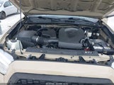 Toyota Tacoma Trd Off Road 3TMAZ5CN4KM081163 photo