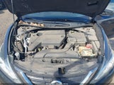 Nissan Altima 2.5/2.5 S/2.5 Sl/2.5 Sr/2.5 Sv 1N4AL3AP2GC209568 fotografie