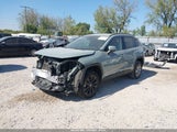 Toyota Rav4 Xle 2T3W1RFV9PW252091 photo
