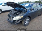 Toyota Corolla Le JTDBL40E79J046290 снимка