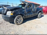 Ford F-150 Stx/Xlt 1FTRF04W35KE73844 fotografie