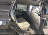 Toyota Rav4 2T3BF4DV6AW039192 fotografie
