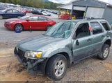 Ford Escape Xlt/Xlt Sport 1FMYU93196KC43136 fotografie
