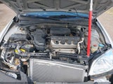 Honda Civic Lx 2HGES16553H545198 снимка