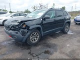 Jeep Cherokee Trailhawk 4X4 1C4PJMBX8LD609489 снимка