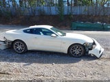 Ford Mustang Gt 50 Years Limited Edition 1FA6P8RF7F5501447 fotografie
