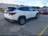 Hyundai Tucson Sel 5NMJB3DE0RH384056 снимка