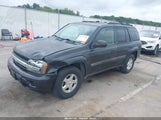 Chevrolet Trailblazer Ls 1GNDT13S532358254 снимка