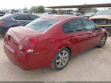 Nissan Maxima 3.5 Sl 1N4BA41E76C855296 снимка