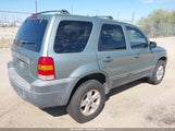 Ford Escape Xlt/Xlt Sport 1FMYU03137KA92615 photo