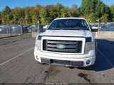 Ford F-150 Fx4/King Ranch/Lariat/Platinum/Xl/Xlt 1FTPW14V19FA01791 photo