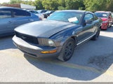 Ford Mustang V6 Deluxe/V6 Premium 1ZVFT80N975242355 fotografie