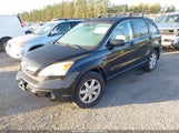 Honda Cr-V Ex-L JHLRE48799C000739 photo