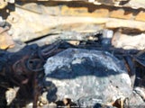 Toyota Rav4 Xle 2T3RFREV9JW815566 снимка