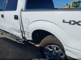 Ford F-150 Xlt 1FTFW1EF0EKF51147 снимка