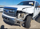 Ford F-150 Xlt 1FTFW1EF0EKF51147 снимка