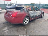 Nissan Maxima 3.5 Se 1N4BA41E35C812945 снимка