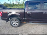 Ford F-150 Xlt 1FTEW1E4XKFA53794 снимка