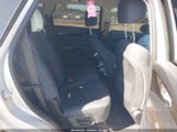 Miniaturka zdjęcia 8