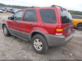 Ford Escape Xlt 1FMYU03191KC25496 снимка