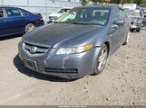 Acura Tl 19UUA66266A062646 снимка