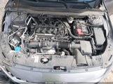 Honda Accord Lx 1HGCV1F10LA049896 photo