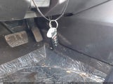 Miniaturka zdjęcia 11