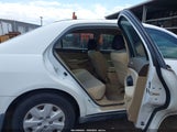 Miniaturka zdjęcia 8