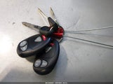 Miniaturka zdjęcia 11