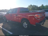 Ford F-150 Xl/Xlt 1FTEW1E89AFB98634 снимка