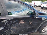 Toyota Rav4 Xle 2T3WFREV4DW037247 снимка