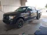 Ford F-150 Fx4/King Ranch/Lariat/Platinum/Xl/Xlt 1FTFW1ET9CFB84938 fotografie