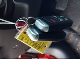 Miniaturka zdjęcia 11