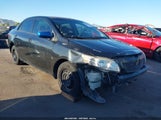 Toyota Corolla S/Le/Xle 2T1BU4EE0AC423984 снимка