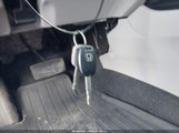 Miniaturka zdjęcia 11
