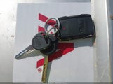 Miniaturka zdjęcia 11