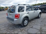 Ford Escape Xlt 1FMCU03G49KB54508 снимка