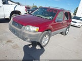 Ford Escape Xlt 1FMYU93135KD10893 снимка