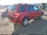 Ford Escape Xlt 1FMCU0D75AKC92299 снимка