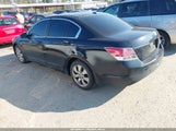 Honda Accord 2.4 Ex-L 1HGCP26808A154488 photo