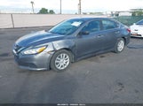 Nissan Altima 2.5/2.5 S/2.5 Sl/2.5 Sr/2.5 Sv 1N4AL3AP6GN377380 снимка